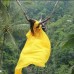 AYUNG JUNGLE SWING