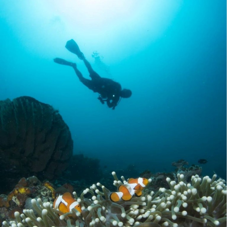 Paket Menyelam Wakatobi 5D4N