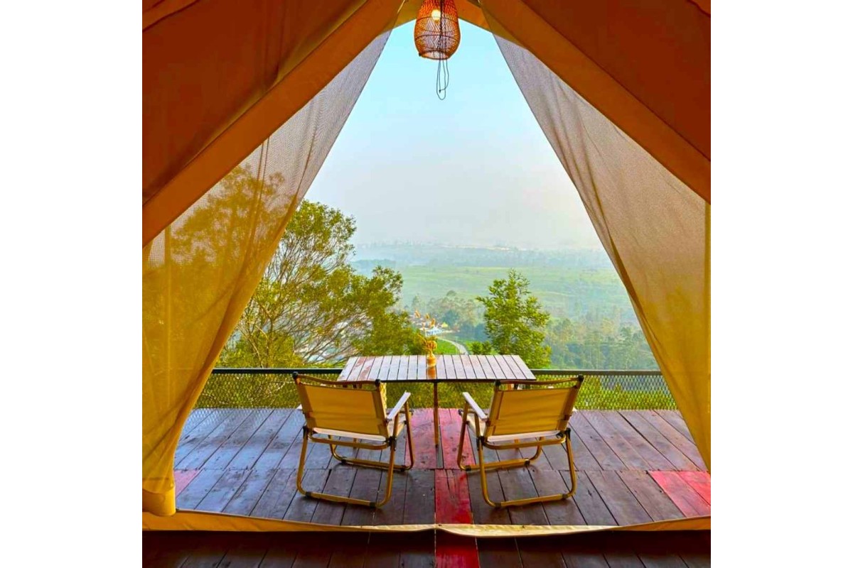 Azalea (Luxury Flying Camp)