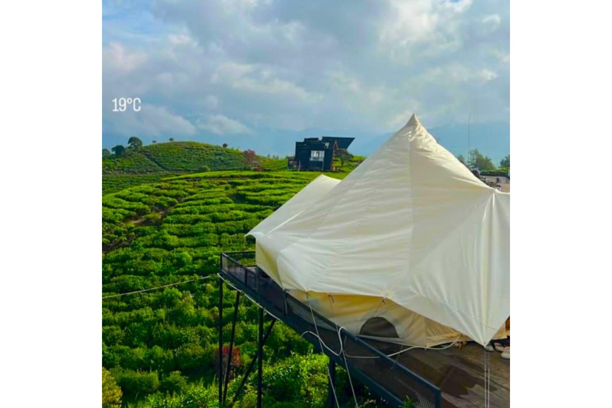 Nimoza 1 (Flying Camp Regular)