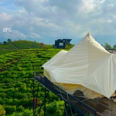 Nimoza 1 (Flying Camp Regular)