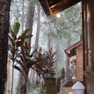 https://windowtraveler.com/image/cache/catalog/Akomodasi/foresto%20lembang/foresto5-300x300.jpg
