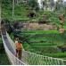 BALI AMAZING TRIP 4 hari 3 malam   (PAKET B)