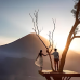 BALI AMAZING TRIP 4 hari 3 malam   (PAKET B)