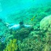NUSA PENIDA FULL DAY TRIP PAKET B (Sharing)