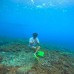 NUSA PENIDA FULL DAY TRIP PAKET B (Sharing)