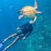 NUSA PENIDA FULL DAY TRIP PAKET B (Sharing)