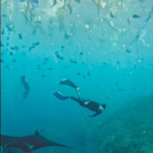 https://windowtraveler.com/image/cache/catalog/Indonesia%20Travel%20Marketplace/Nusa%20Penida/np9-300x300.jpeg
