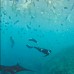 NUSA PENIDA FULL DAY TRIP PAKET B (Sharing)