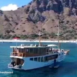Open Trip Komodo with Gibran Liveaboard 3H2M