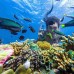 One Day Trip Gili Ketapang