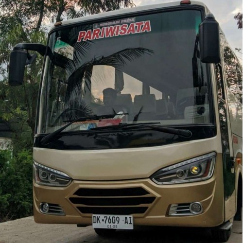 Rental Bis Medium labuan bajo (29-35 seat)