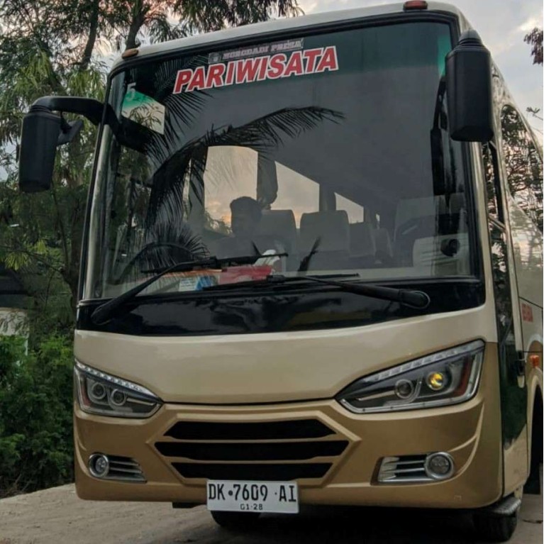 Rental Bis Medium labuan bajo (29-35 seat)