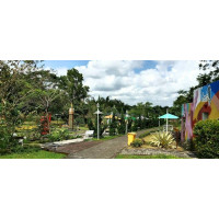 Theme Park