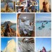 Phinisi Dinara Sailing Komodo(Charter Full day)