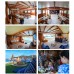 Phinisi Dinara Sailing Komodo(Charter Full day)