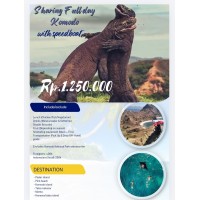 Sharing Fullday Komodo by Speedboat