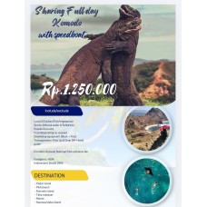 Sharing Fullday Komodo by Speedboat