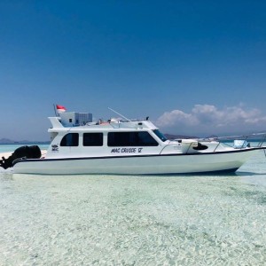 Privat Komodo  Speed Boat  V (Toilet, AC)