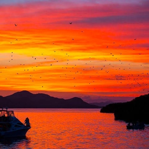 Sunset Trip half day speed boat 