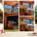 Komodo Trails Open Trip 3H2M