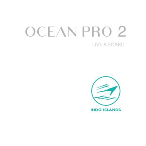 https://windowtraveler.com/image/cache/catalog/tourtravel/Komodo%20golden%20Cruise/Ocean%20Pro%20pnsi/ocpro3-300x300.jpg