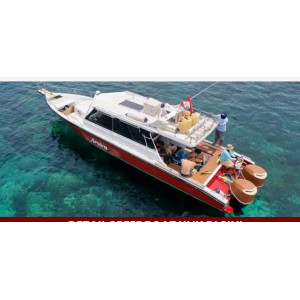 https://windowtraveler.com/image/cache/catalog/tourtravel/Komodo%20golden%20Cruise/speedboat/arsiva%20cruise%201-300x300.jpg