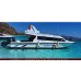 Paket Wisata di Pulau Komodo (Manta Speed)