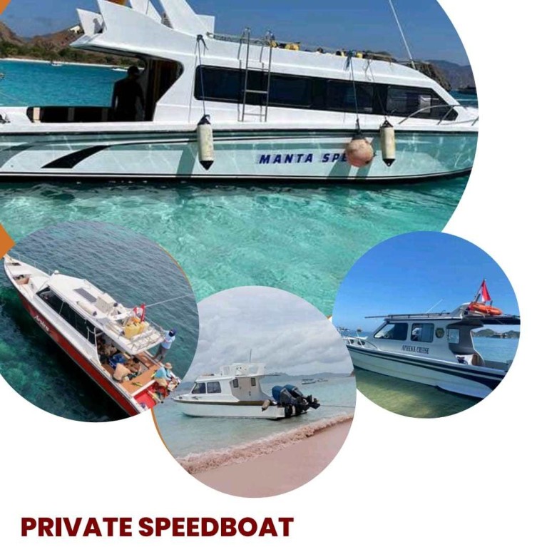 Paket Wisata di Pulau Komodo (Arsiva Cruise)