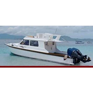 https://windowtraveler.com/image/cache/catalog/tourtravel/Komodo%20golden%20Cruise/speedboat/sinink%20cruise1-300x300.jpeg