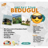 One Day Tour Bedugul