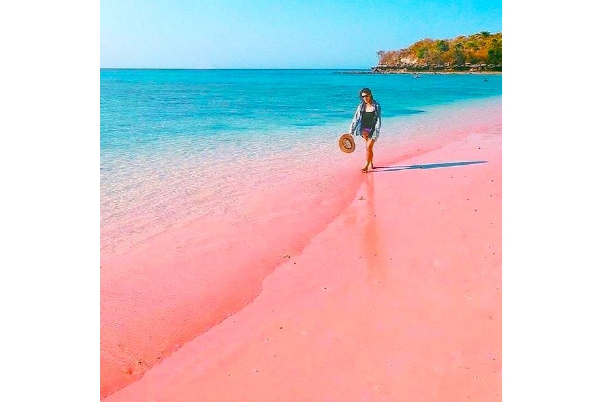 WISATA PANTAI PINK LOMBOK 3H2M