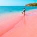 WISATA PANTAI PINK LOMBOK 3H2M