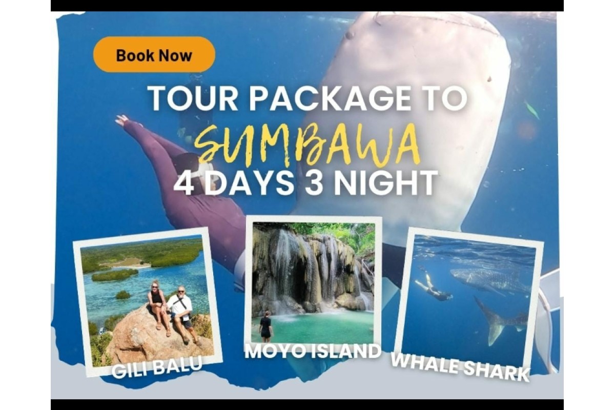 Whaleshark Sumbawa Tour 4h3m (Moyo Island, Gili Batu)