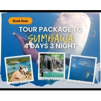Whaleshark Sumbawa Tour 4h3m (Moyo Island, Gili Batu)