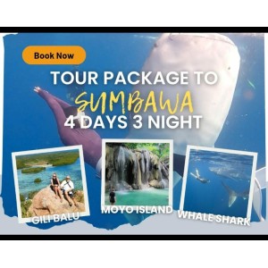 Whaleshark Sumbawa Tour 4h3m (Moyo Island, Gili Batu)