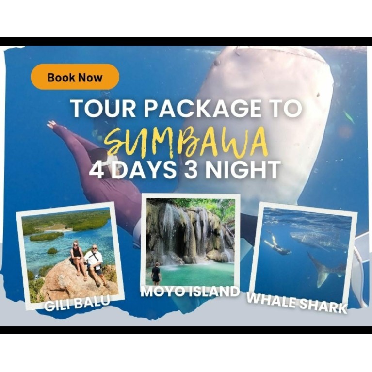 Whaleshark Sumbawa Tour 4h3m (Moyo Island, Gili Batu)