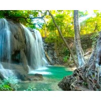 Whaleshark Trip by Sumbawa Tourism  2h1m (Moyo Island)