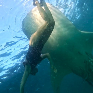 https://windowtraveler.com/image/cache/catalog/tourtravel/Sumbawa%20Tourism/bst6-300x300.jpg