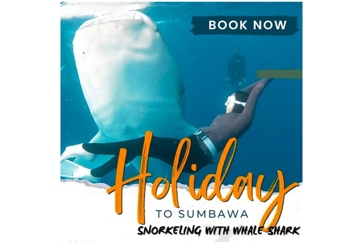 Holiday to Sumbawa (Whaleshark)