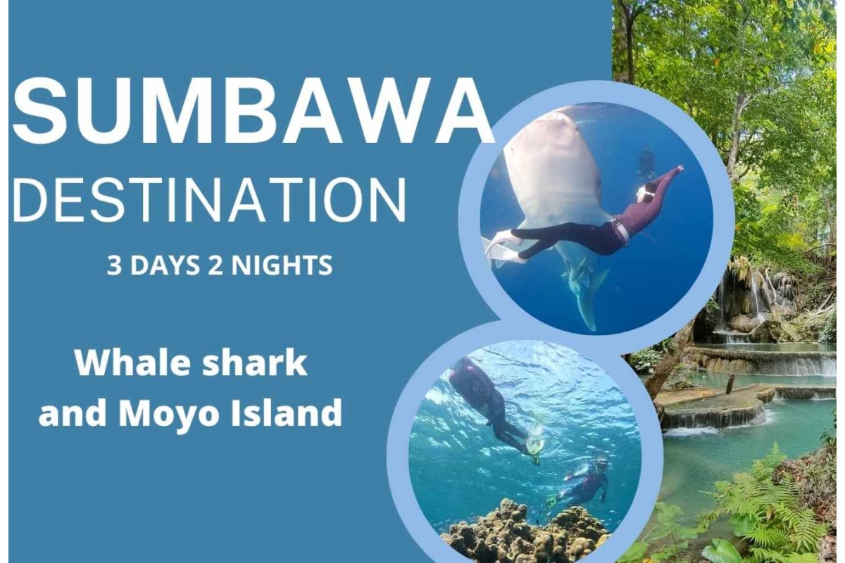 Whaleshark Sumbawa Tour 3h2m (Moyo Island)