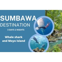 Whaleshark Sumbawa Tour 3h2m (Moyo Island)