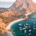  komodo Tour with share fast boat (Full day)