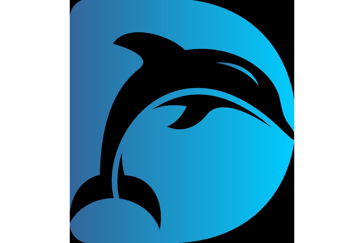 Dolphin Snorkling Tour 