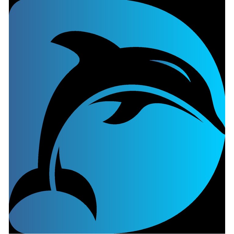 Dolphin Tour Paket Lengkap (watching, swimming, Snorkling)