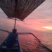 Dolphin Swimming Tour 