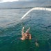 Dolphin Swimming Tour 