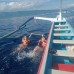 Dolphin Swimming Tour 