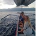 Dolphin Swimming Tour 