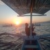 Dolphin Swimming Tour 